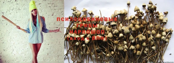 mix Абаза