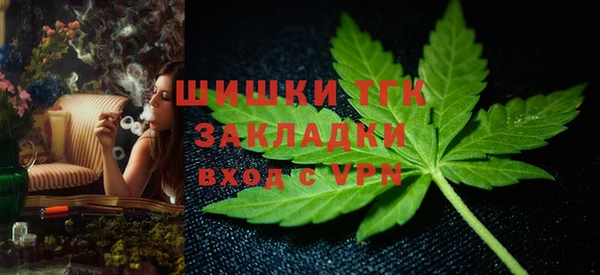 тгк Абинск
